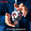 IP Portfolio Management.jpg