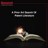 a prior art search of patent literature.jpg